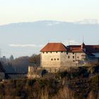 Schloss Laupen