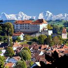 Schloss Laupen