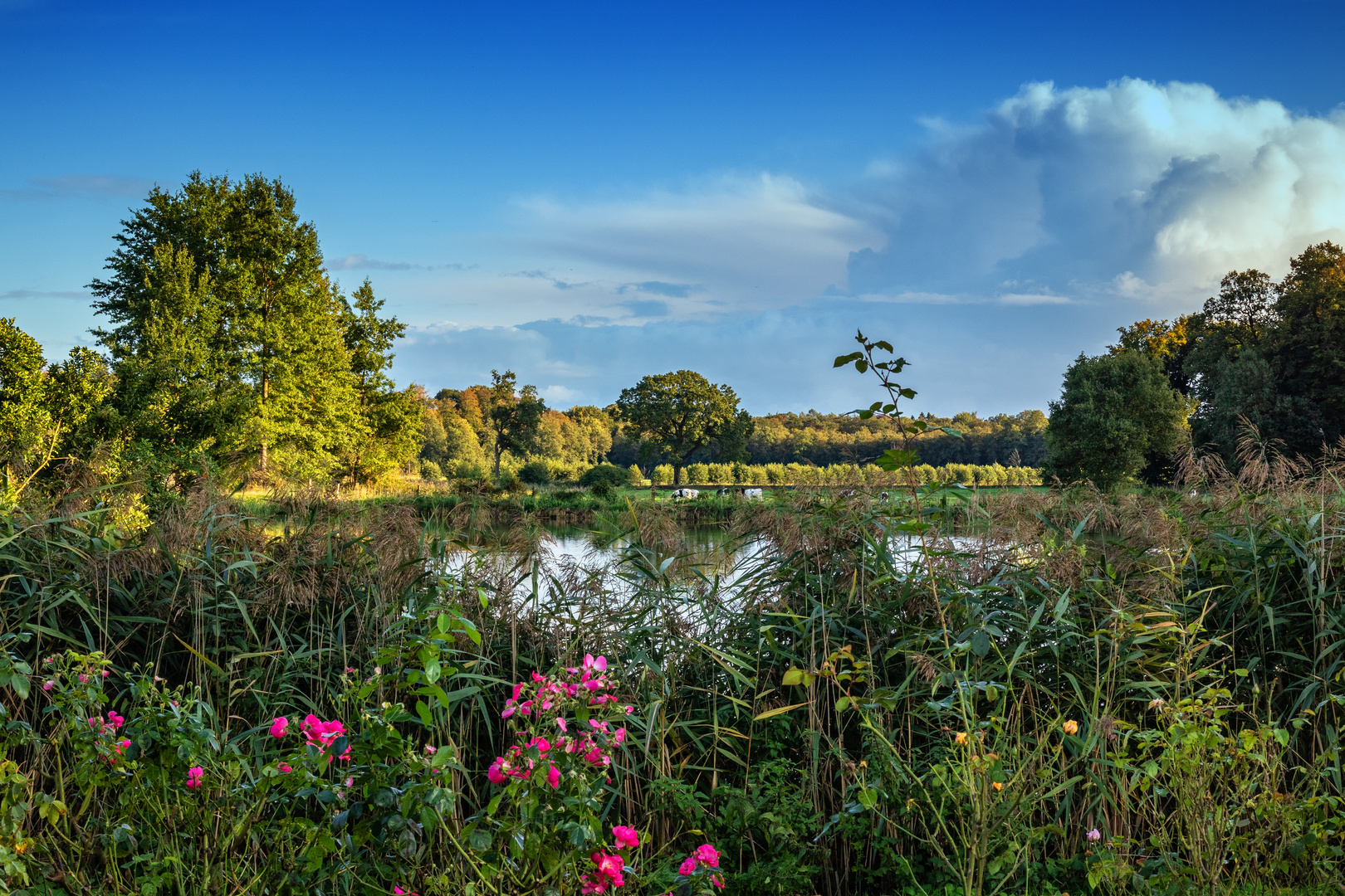 Schloss Lembeck - Impressionen 03