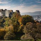 Schloss Lenzburg