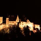 Schloss Lenzburg