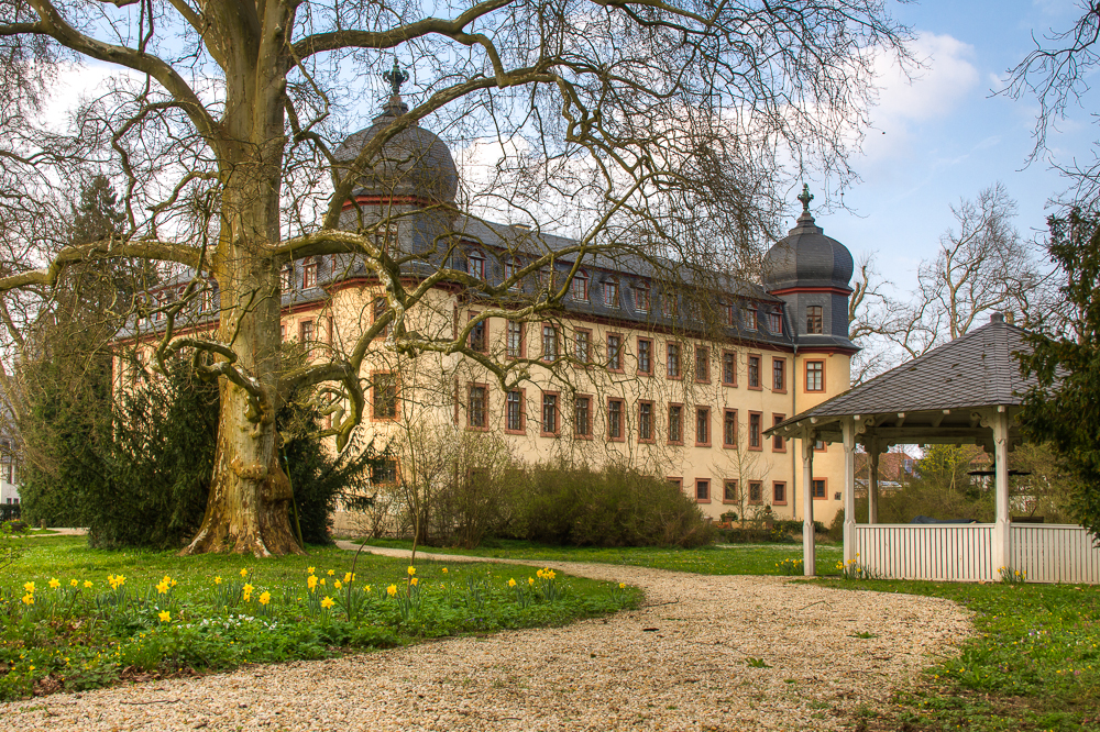 Schloss Lich Foto &amp; Bild | schloss, architektur, motive Bilder auf ...