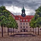 schloss lichtenwalde (3)