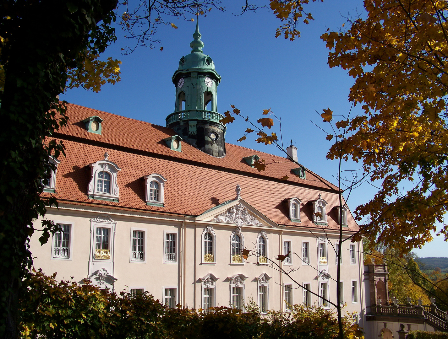 Schloss Lichtenwalde V