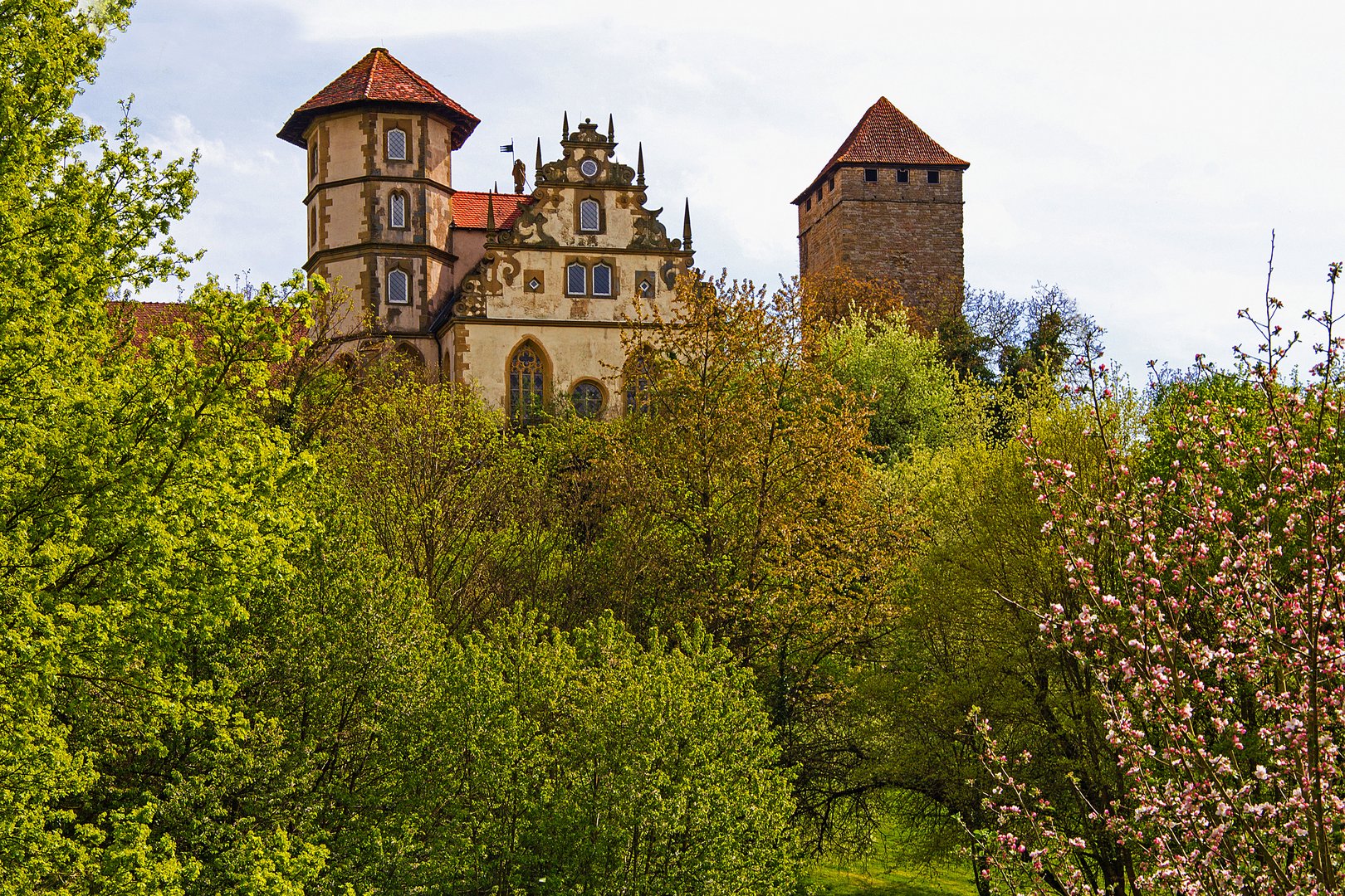 Schloss Liebenstein thront über zartem Grün