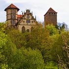 Schloss Liebenstein thront über zartem Grün