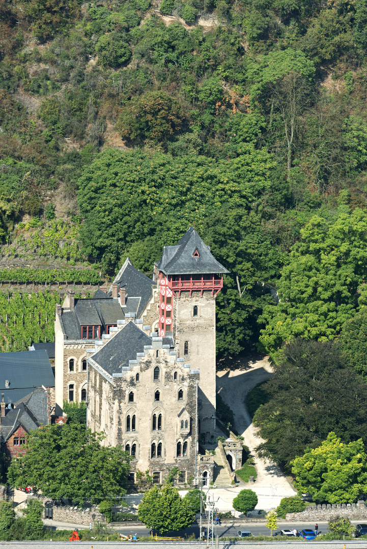Schloss Liebieg - von der Felixhütte über Niederfell aus gesehen