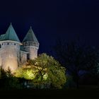 Schloss Linn