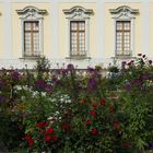 Schloss Ludwigsburg 5