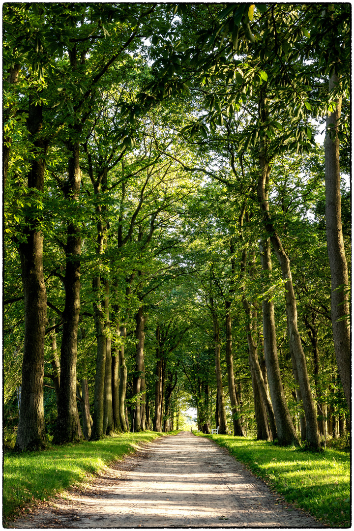 Schloss Lütetsburg - Impressionen 02