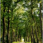 Schloss Lütetsburg - Impressionen 02