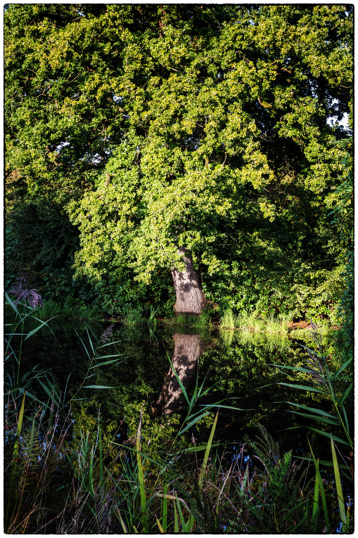 Schloss Lütetsburg - Impressionen 03