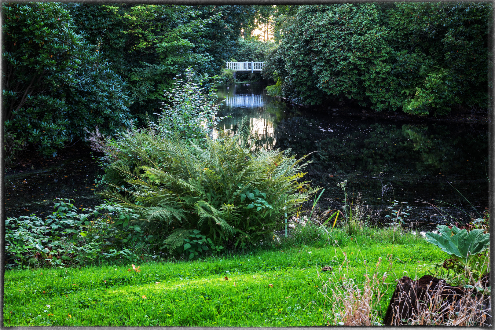 Schloss Lütetsburg - Impressionen 04