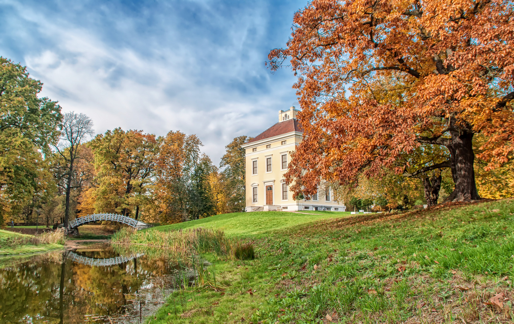 - Schloss Luisium / 2 -