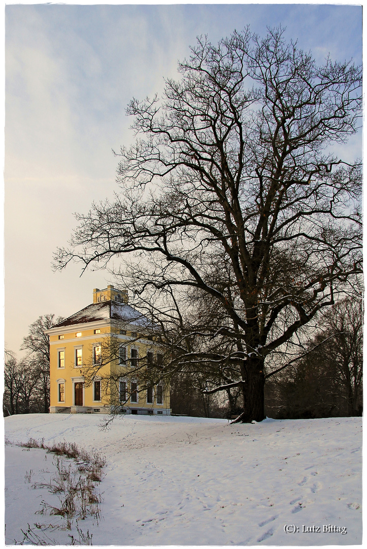 Schloss Luisium im Winter