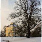 Schloss Luisium im Winter