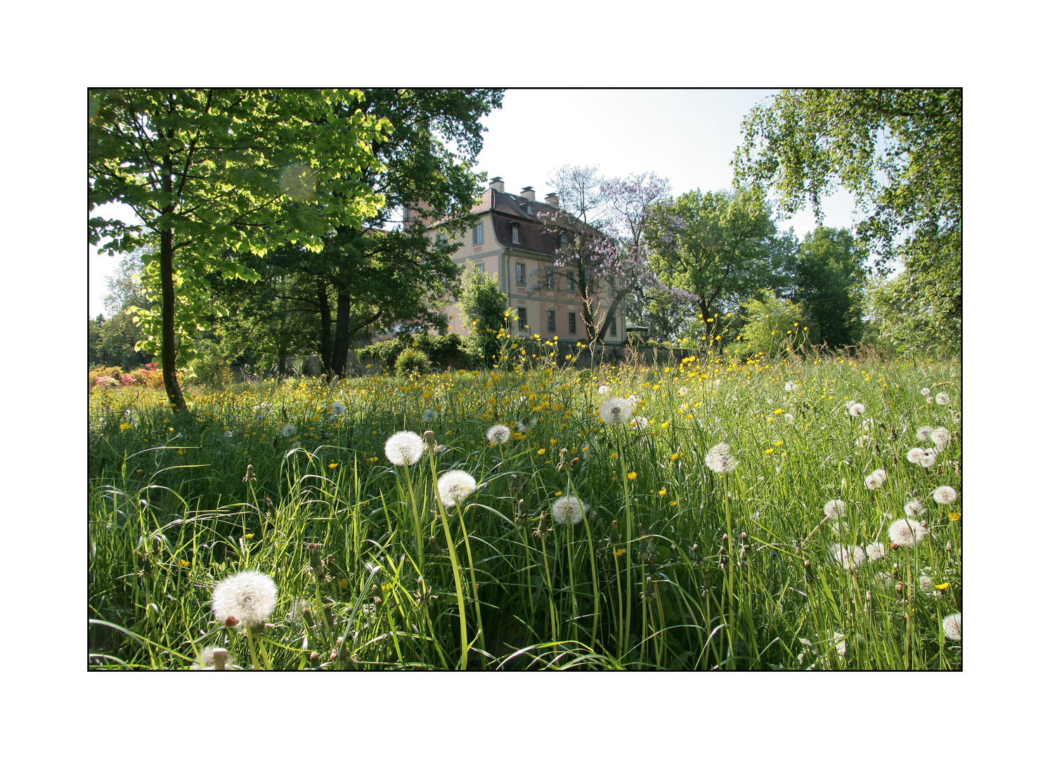 Schloss Machern