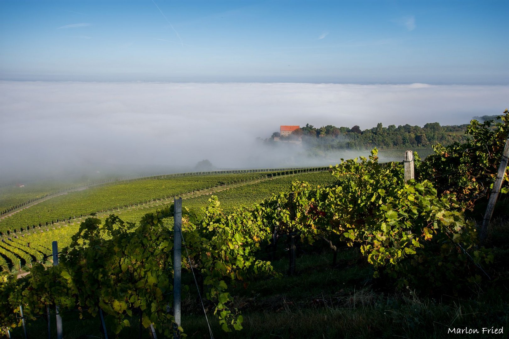 Schloss Magenheim erhebt sich über dem Nebel