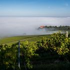 Schloss Magenheim erhebt sich über dem Nebel