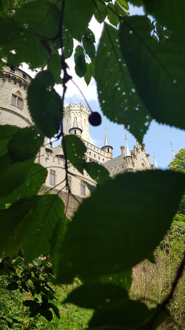 Schloss Marienburg