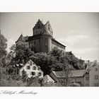 Schloss Meersburg