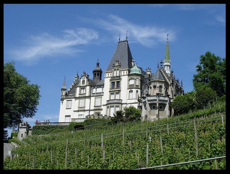Schloss Meggenhorn mit Weinberge