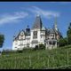 Schloss Meggenhorn mit Weinberge