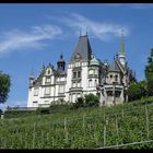 Schloss Meggenhorn mit Weinberge