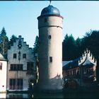 Schloss Mespelbrunn im Spessart