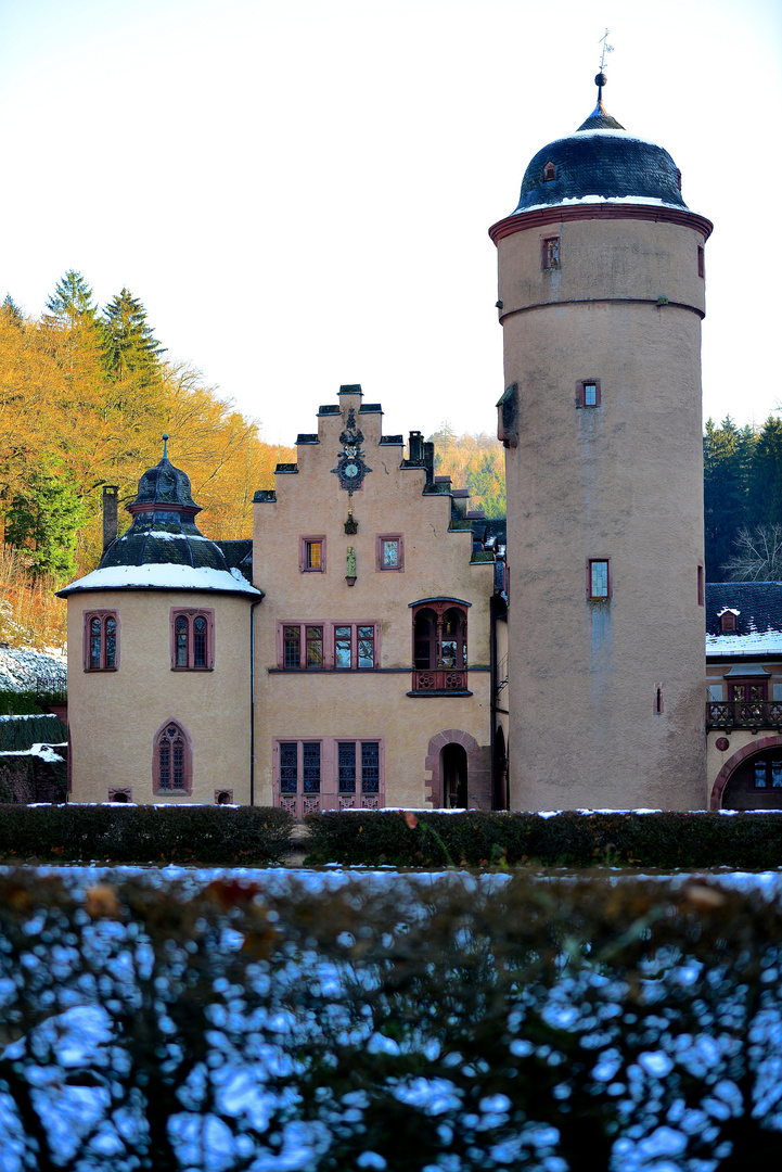 Schloss Mespelbrunn im Winter / 2