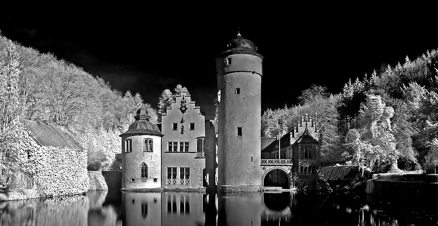 Schloss Mespelbrunn S/W Version