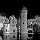 Schloss Mespelbrunn S/W Version