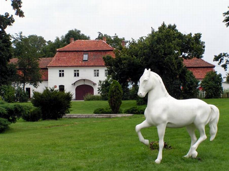 Schloss mit Gestüt