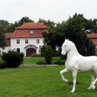 Schloss mit Gestüt