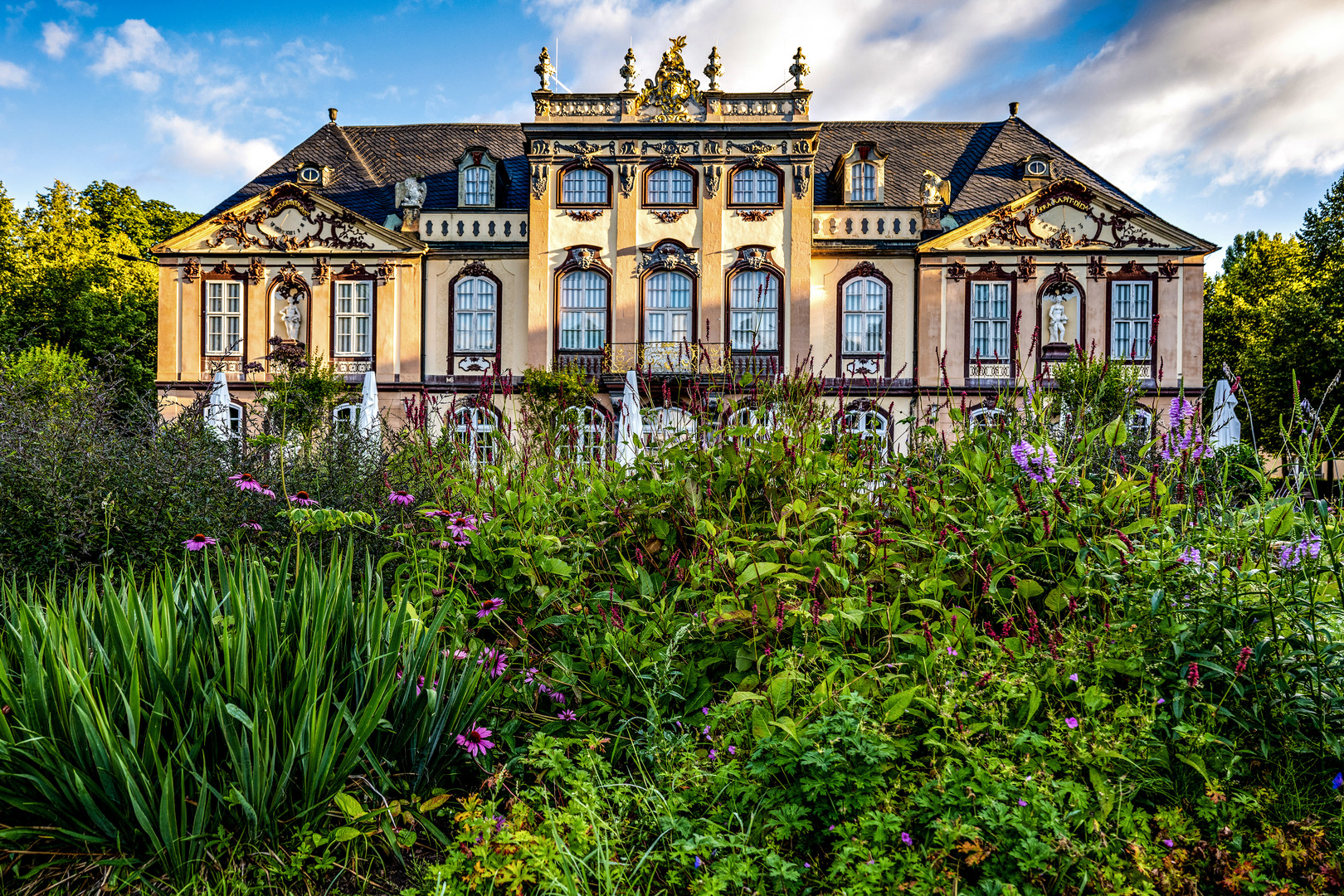 Schloss Molsdorf 11