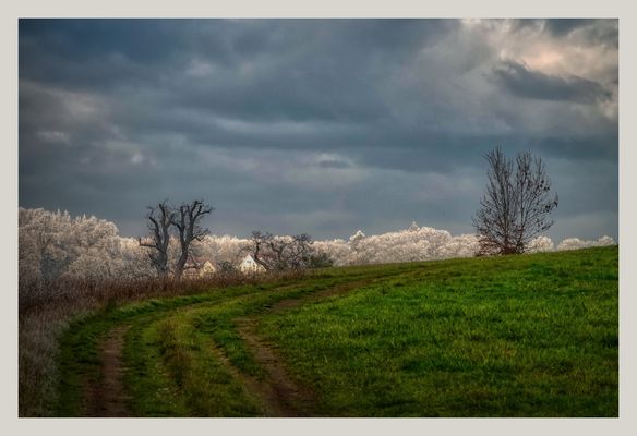 Schloss Monrepos Raureif