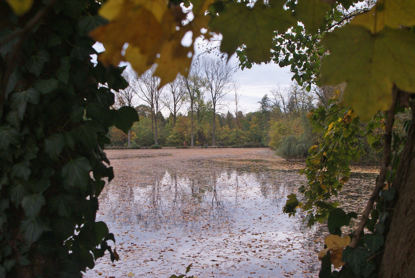 Schloss Monreposssee II