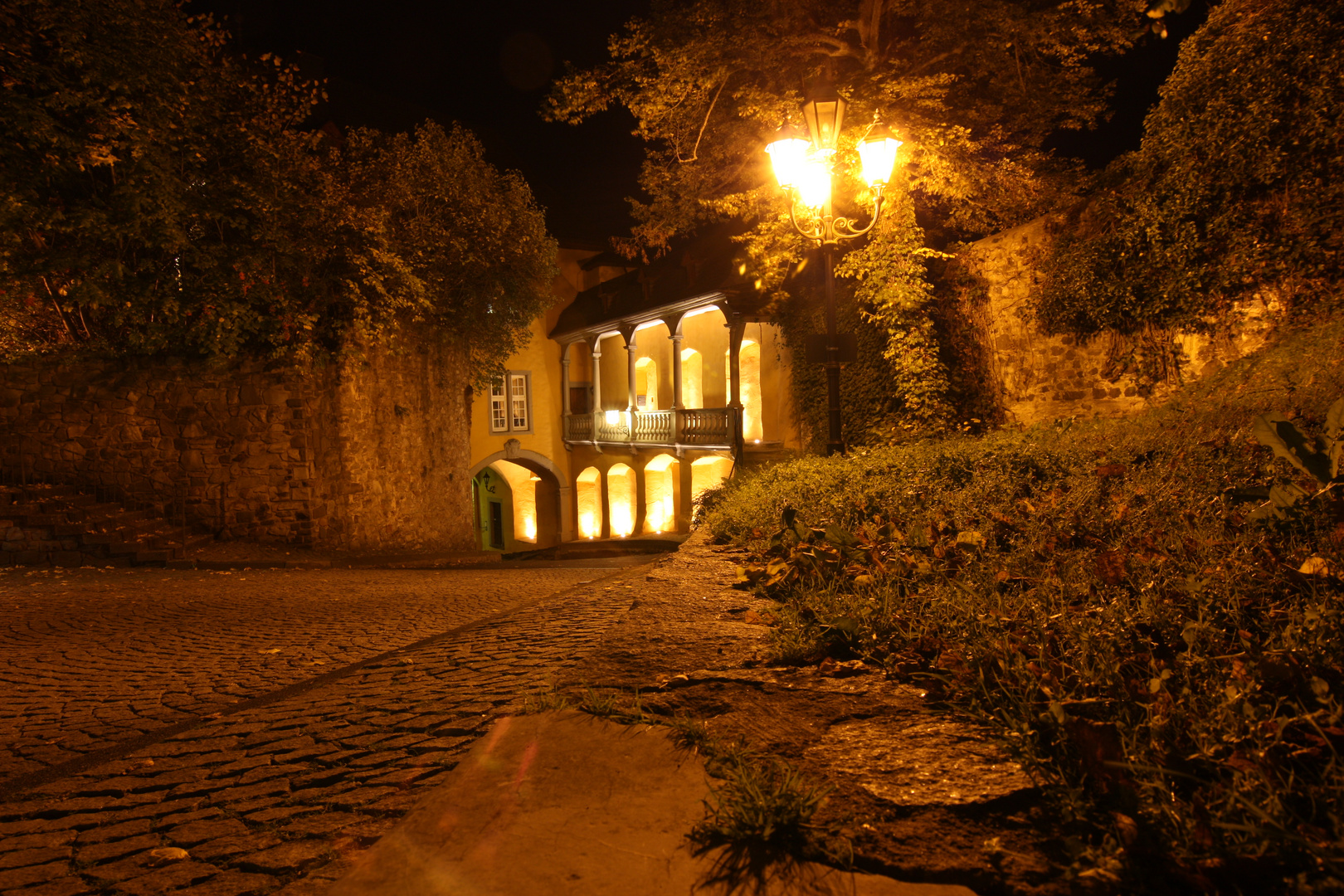 Schloss Montabaur bei Nacht