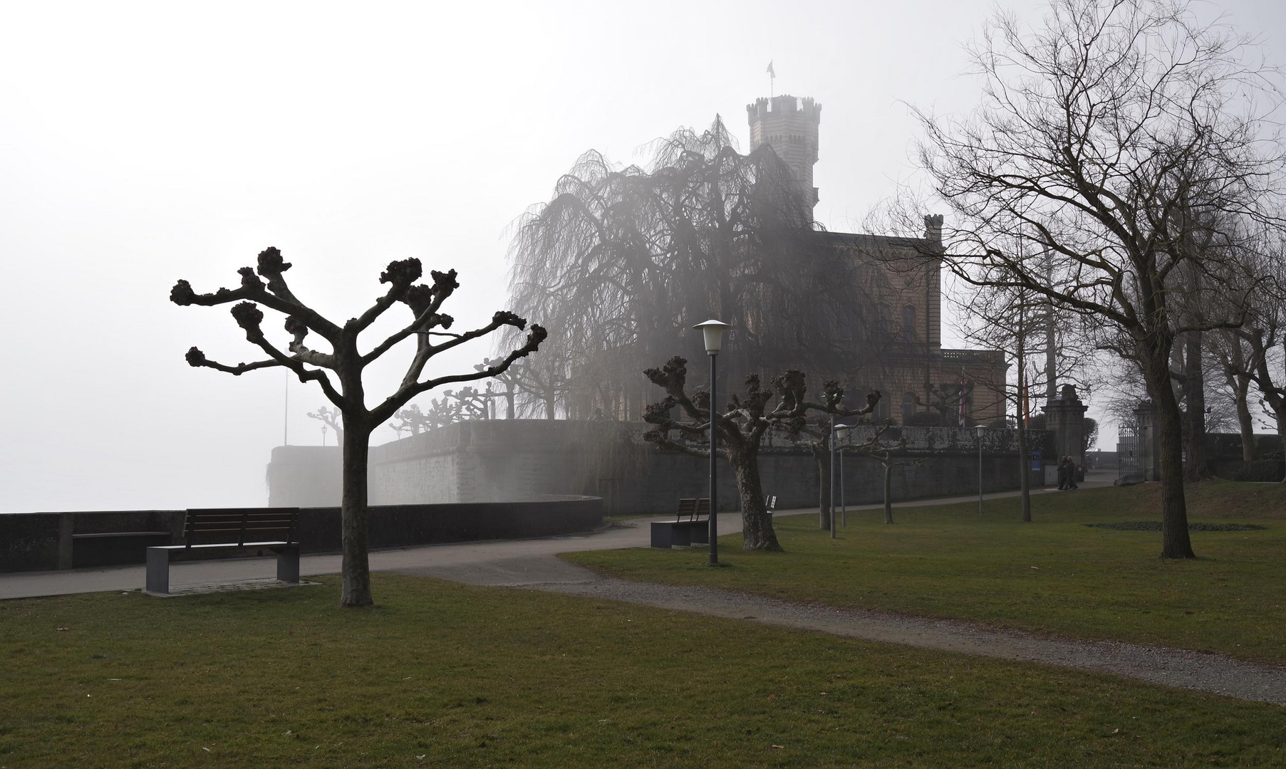 Schloss Montfort in Langenargen 