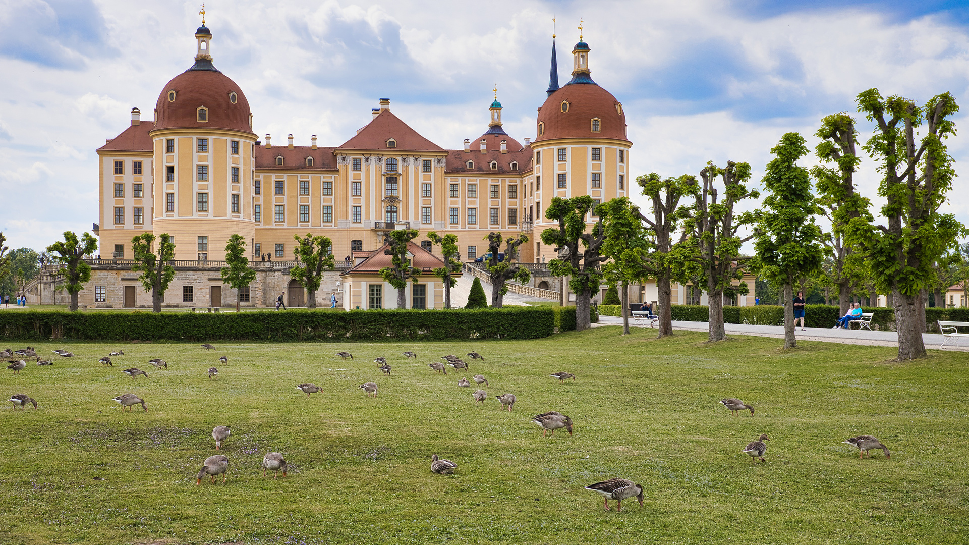 Schloss Moritzburg (01)