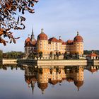 Schloss Moritzburg