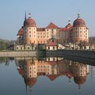 Schloss Moritzburg