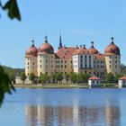 Schloß Moritzburg 