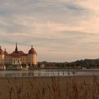 Schloss Moritzburg