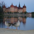 Schloß Moritzburg #1