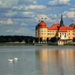 Schloss Moritzburg