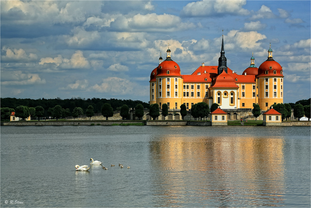 Schloss Moritzburg