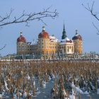 Schloß Moritzburg