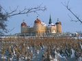 Schloß Moritzburg von vassaro