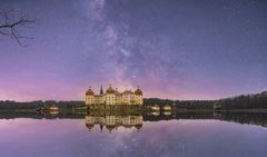 Schloss Moritzburg 